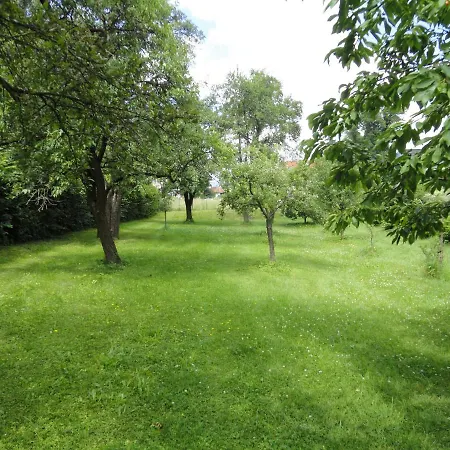 Zeilinger Oda ve Kahvaltı