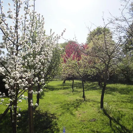 Zeilinger Knittelfeld