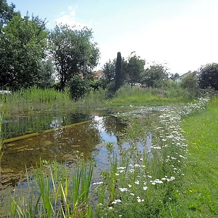 Zeilinger Knittelfeld
