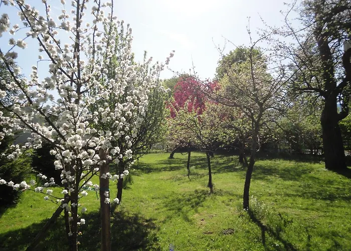 Zeilinger Knittelfeld